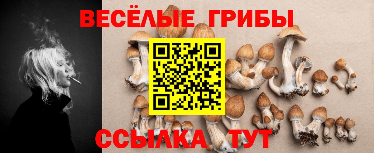 Галлюциногенные грибы мухоморы Гуково