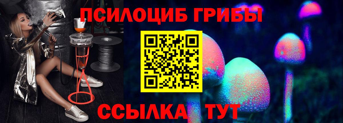 Галлюциногенные грибы Cubensis  где купить наркоту  Гуково  Вход с VPN 
